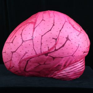 burlesque brain